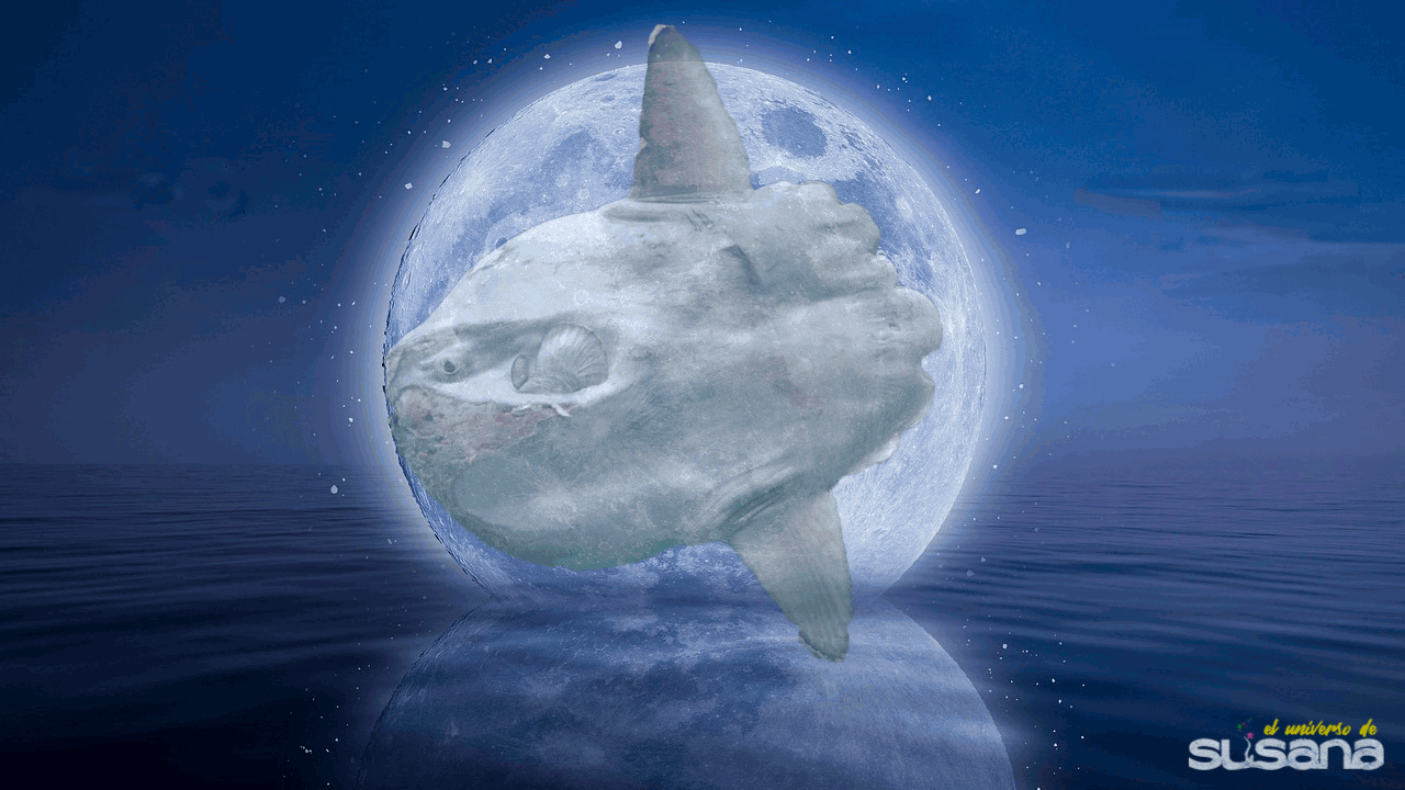 el pez luna