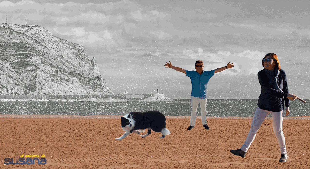 Compañeros de viaje